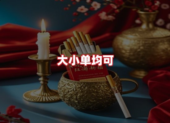专业团队